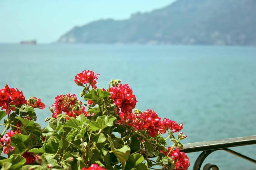 B&B Fronte Del Mare Salerno Eksteriør bilde